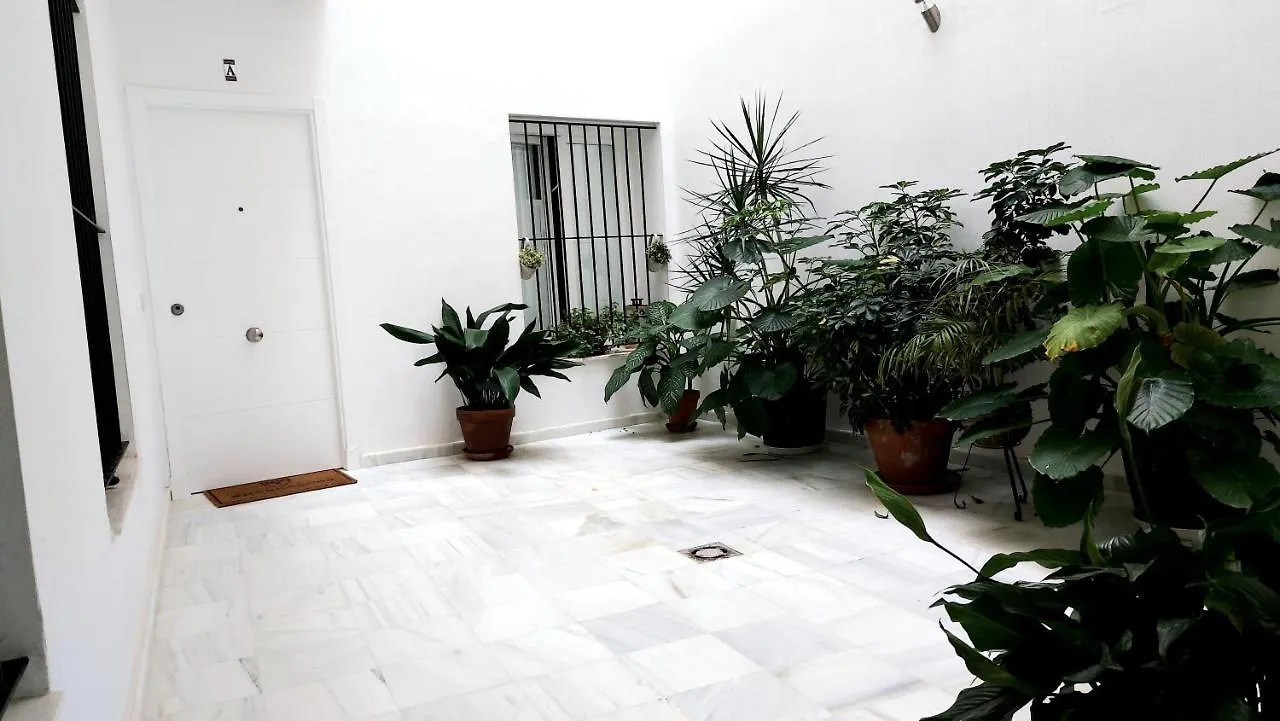 Entrearcos Apartment Cadiz 0*,